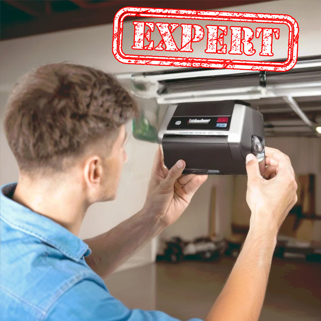 Expert_1